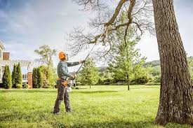 Kingston, IL Tree Removal and Landscaping Services Company